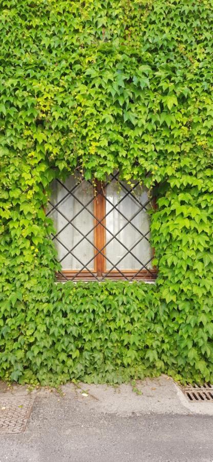 Il Giardino Del Gallo Cherasco Exteriör bild