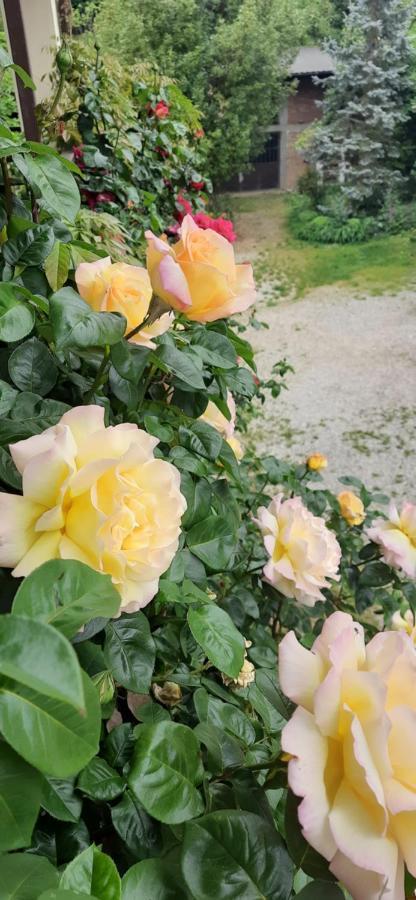 Il Giardino Del Gallo Cherasco Exteriör bild