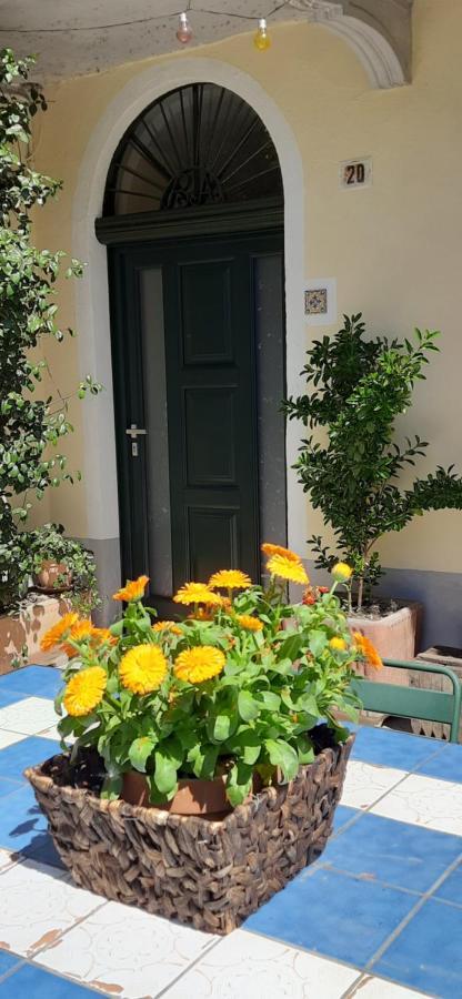 Il Giardino Del Gallo Cherasco Exteriör bild