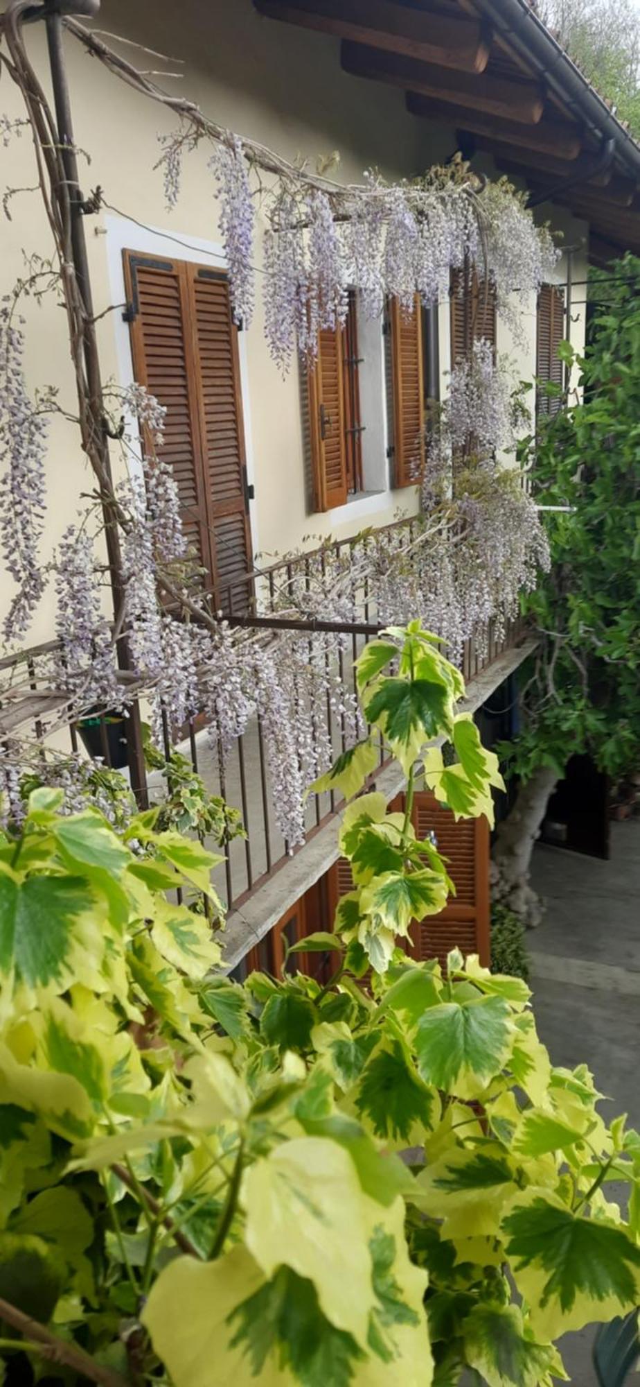 Il Giardino Del Gallo Cherasco Exteriör bild