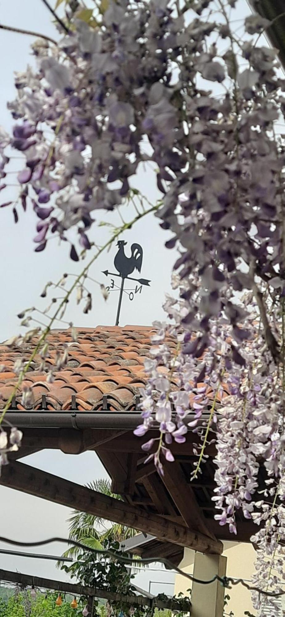 Il Giardino Del Gallo Cherasco Exteriör bild