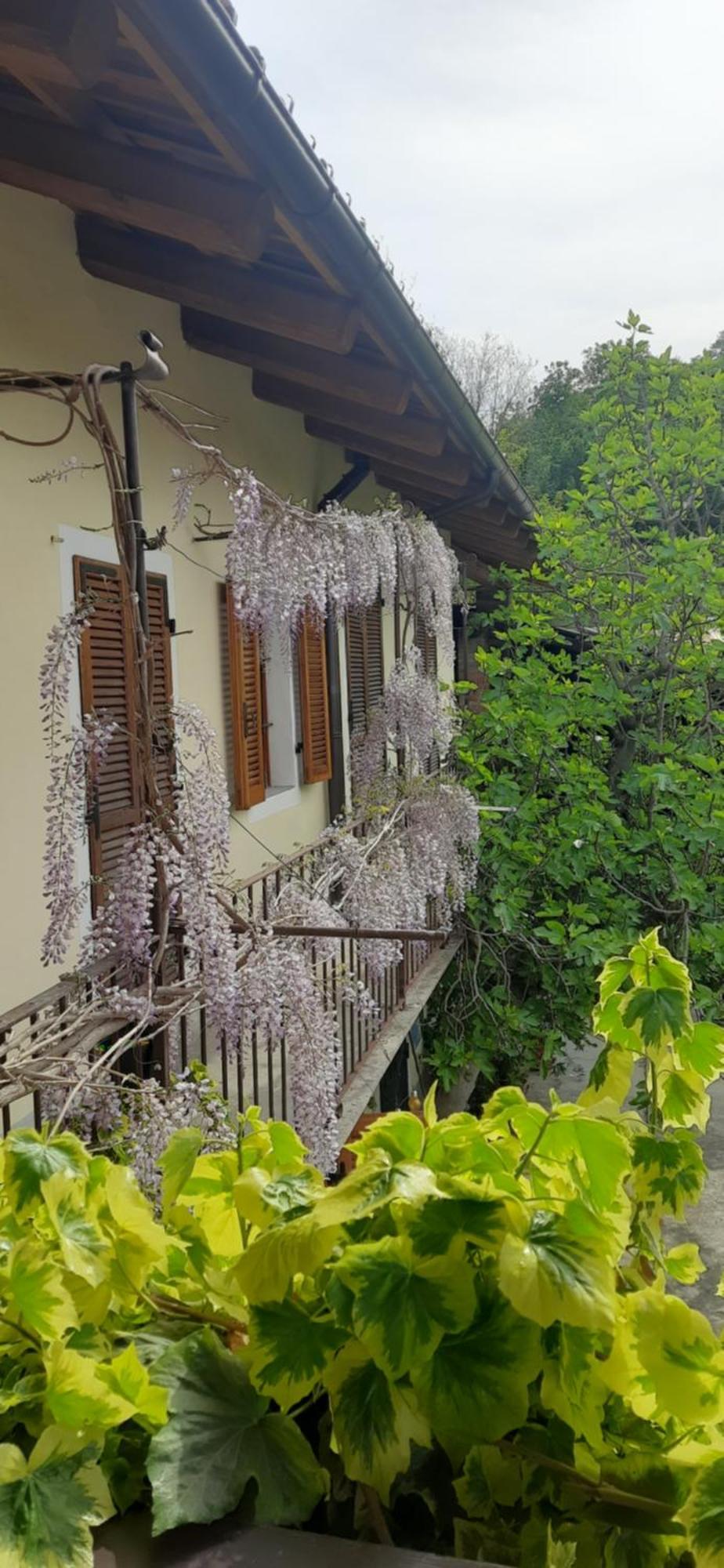Il Giardino Del Gallo Cherasco Exteriör bild