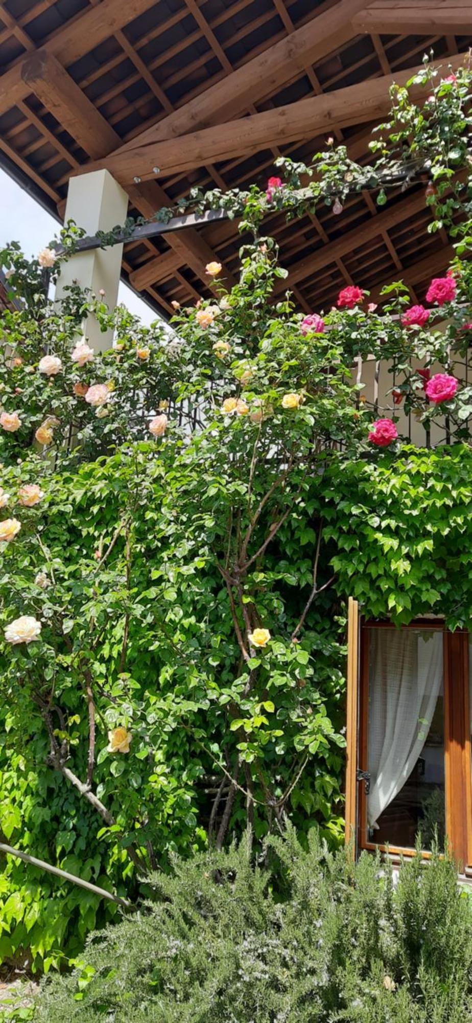 Il Giardino Del Gallo Cherasco Exteriör bild