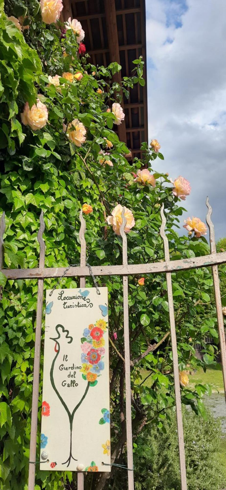 Il Giardino Del Gallo Cherasco Exteriör bild