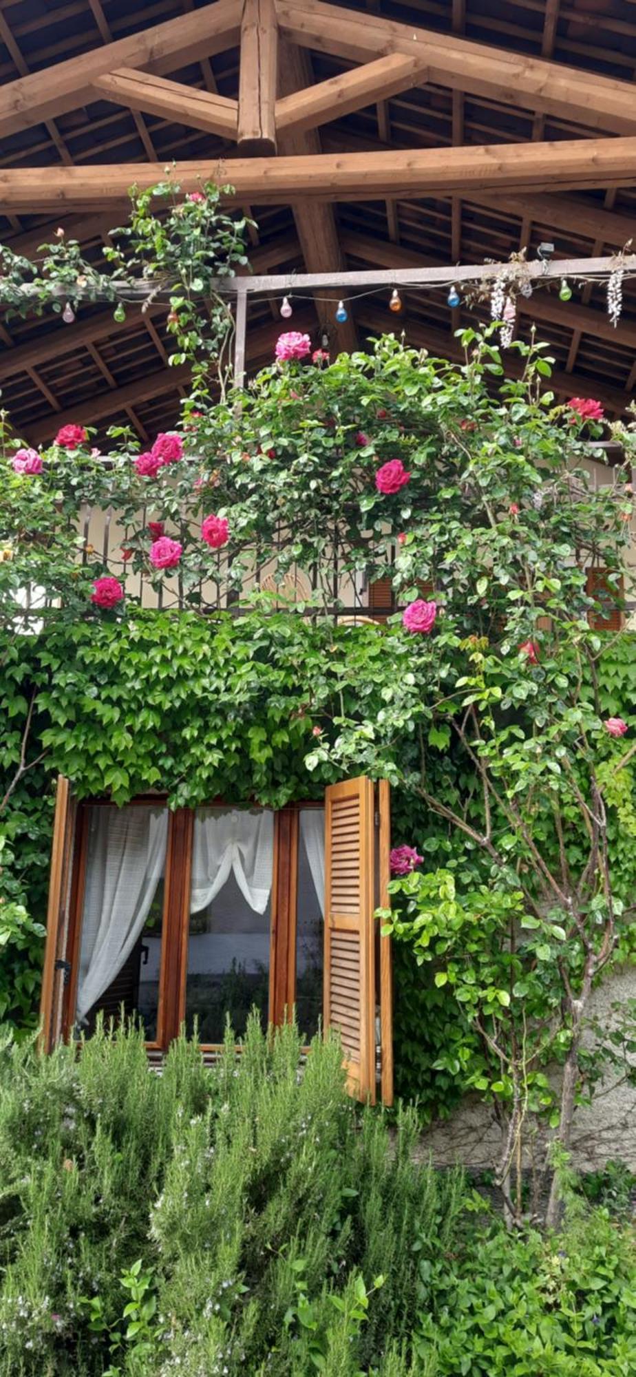 Il Giardino Del Gallo Cherasco Exteriör bild
